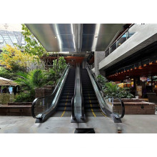 Крытый коммерческий пассажирский эскалатор для торгового центра от опытного производителя